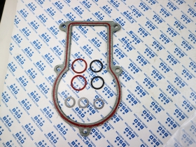 Repair Kit for Weifu Injection Pump BHF4PL